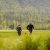 Pediatric Hip Pain Specialist in Anchorage, AK